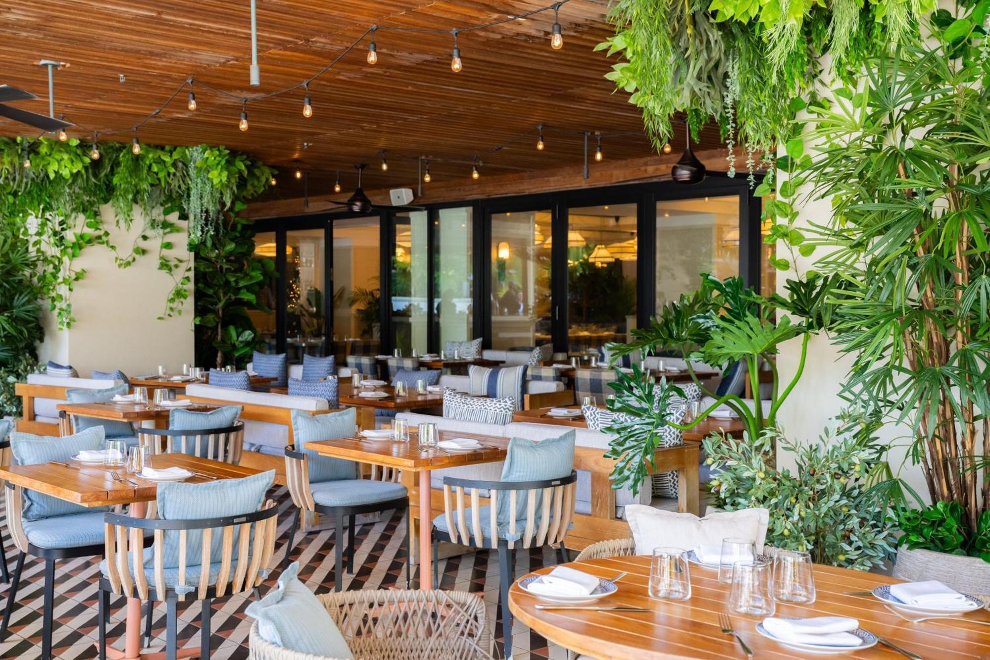 Resort The Ritz-carlton South